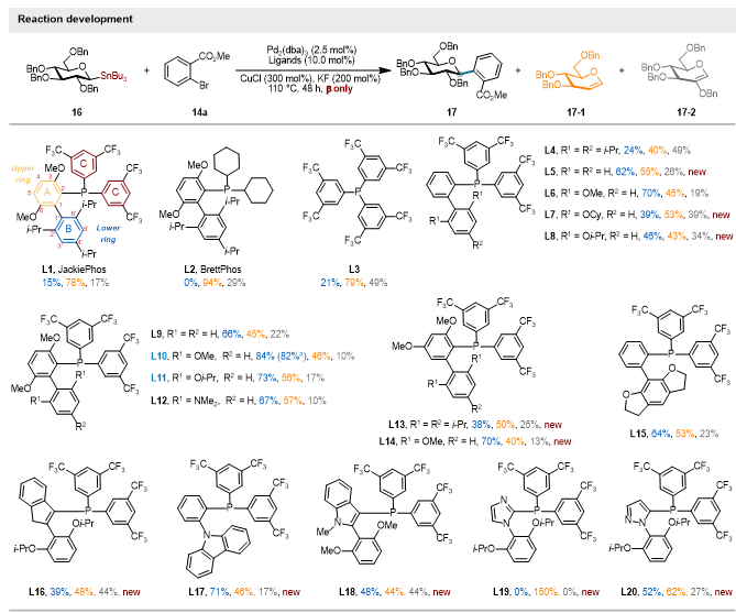 上海交大变革性分子前沿科学中心朱峰团队通过配体赋能新一代糖基 Stille 交叉偶联反应—攻克位阻芳基C-糖苷立体专一性合成瓶颈