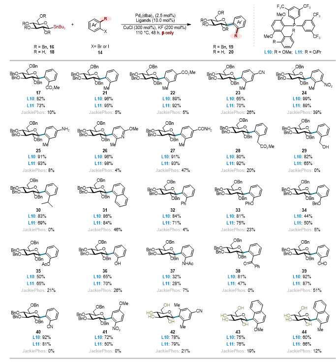 上海交大变革性分子前沿科学中心朱峰团队通过配体赋能新一代糖基 Stille 交叉偶联反应—攻克位阻芳基C-糖苷立体专一性合成瓶颈