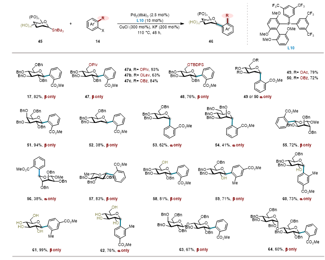 上海交大变革性分子前沿科学中心朱峰团队通过配体赋能新一代糖基 Stille 交叉偶联反应—攻克位阻芳基C-糖苷立体专一性合成瓶颈