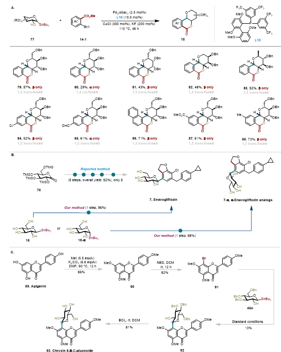 上海交大变革性分子前沿科学中心朱峰团队通过配体赋能新一代糖基 Stille 交叉偶联反应—攻克位阻芳基C-糖苷立体专一性合成瓶颈