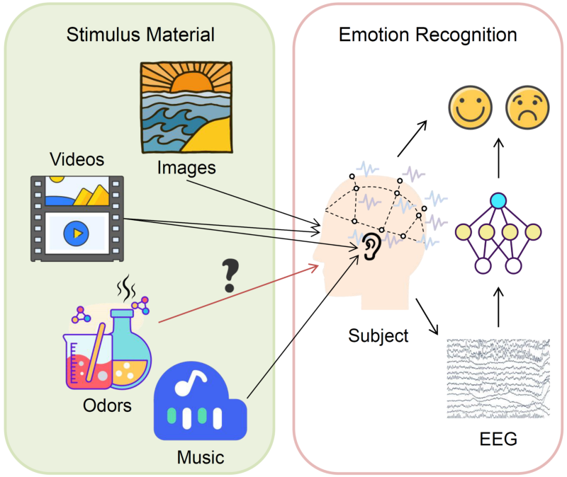 上海交大计算机学院吕宝粮和郑伟龙团队发布嗅觉刺激情绪脑电数据集SEED-OLF