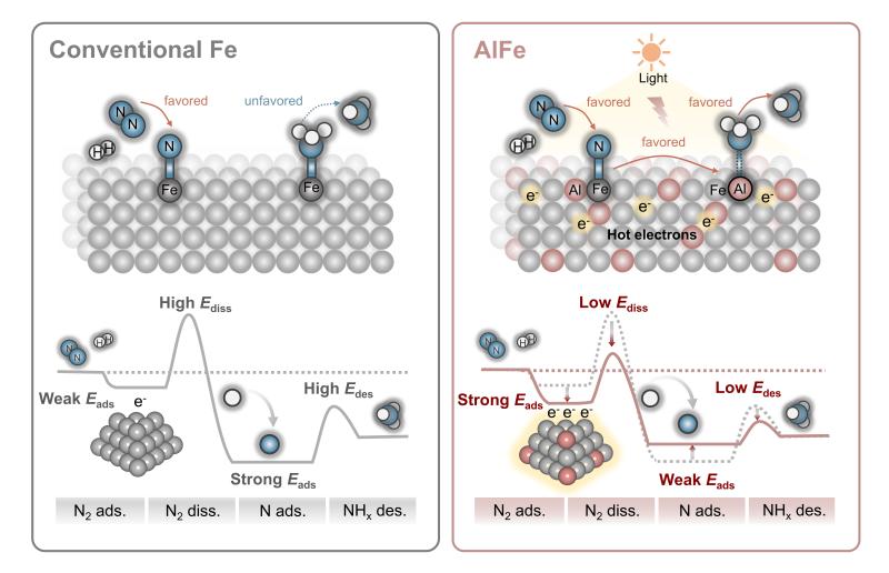 上海交大变革性分子前沿科学中心叶天南团队通过光诱导氮溢流促进AlFe双位点催化剂高效合成氨