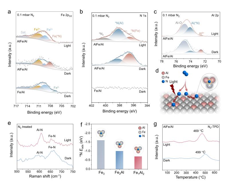 上海交大变革性分子前沿科学中心叶天南团队通过光诱导氮溢流促进AlFe双位点催化剂高效合成氨