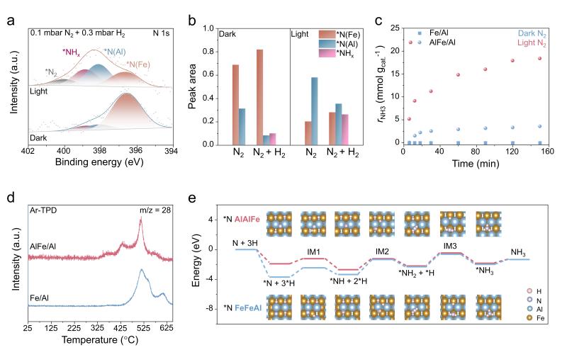 上海交大变革性分子前沿科学中心叶天南团队通过光诱导氮溢流促进AlFe双位点催化剂高效合成氨