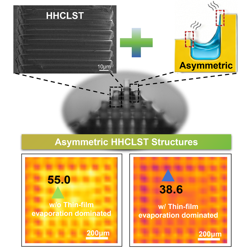 上海交大集成电路学院臧法珩团队在仿生非对称微结构阵列增强薄膜蒸发领域取得进展