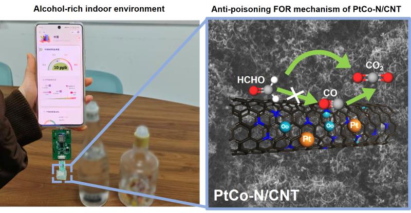 上海交大环境学院李泽晖副教授课题组在环境甲醛气体传感领域获重要研究进展