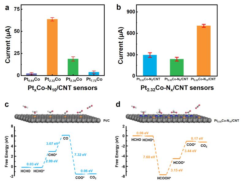 上海交大环境学院李泽晖副教授课题组在环境甲醛气体传感领域获重要研究进展