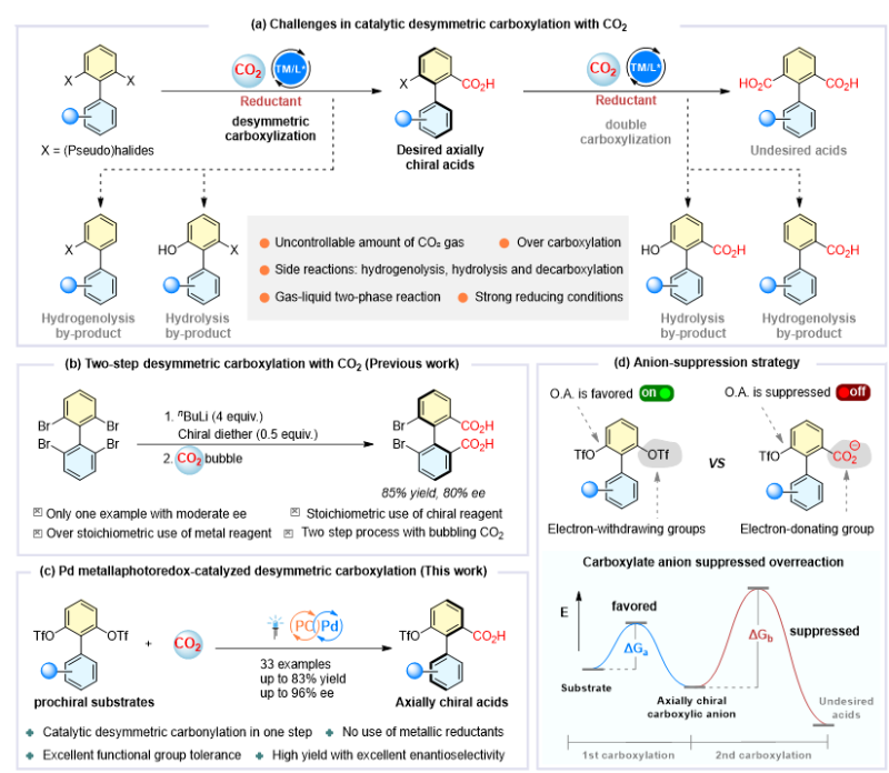 上海交大变革性分子前沿科学中心刘家旺/高申团队通过“阴离子抑制”策略助力实现光/钯协同催化CO2参与的去对称羧化反应
