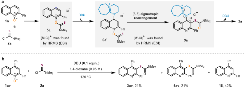 上海交大药学院吴华团队发文：去芳构化 [3,3]-σ重排策略实现喹啉C3-H巯基化
