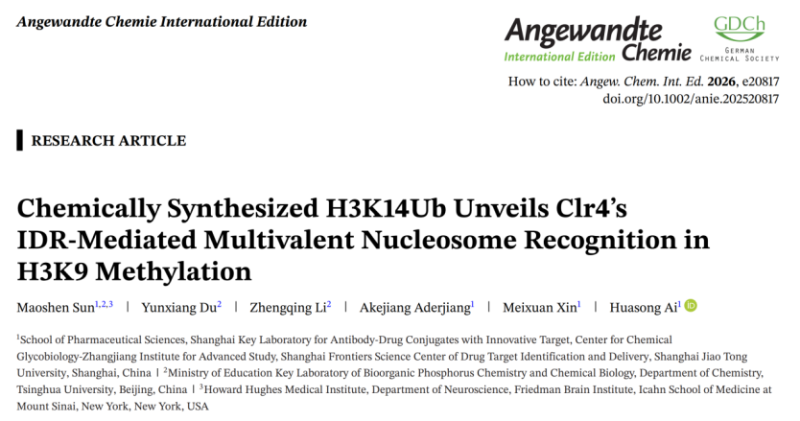 上海交大艾华松课题组发文：化学合成H3K14Ub揭示H3K9甲基转移酶Clr4介导的核小体多价识别机制