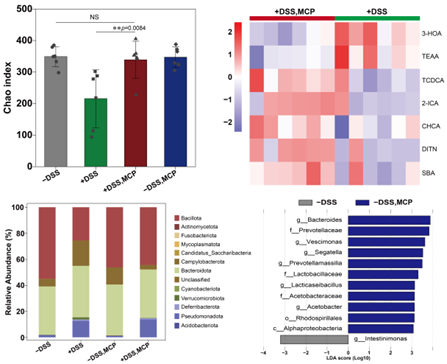 西安交大费强教授团队 在生物转化甲烷与空气氮素合成饲用原料领域取得突破性进展
