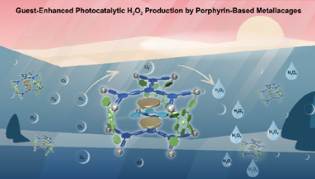 西安交大张明明教授团队在金属有机笼用于可见光催化生成过氧化氢研究中取得新进展