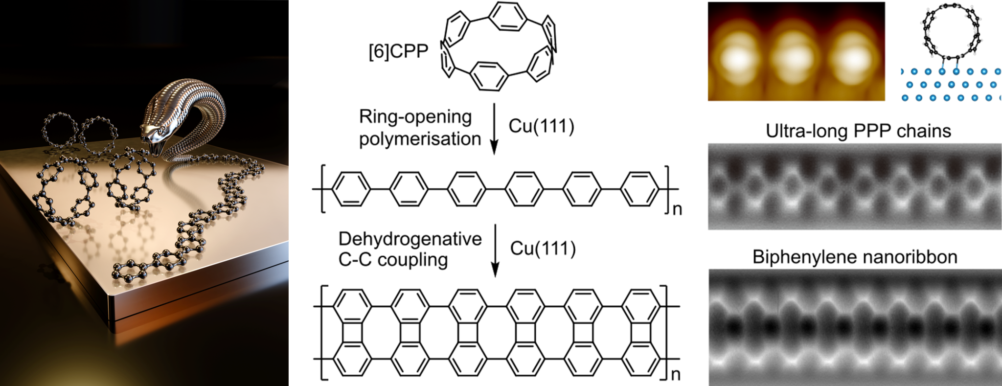 中国科大利用表面开环聚合反应实现超长聚对苯撑及非苯型碳纳米带合成