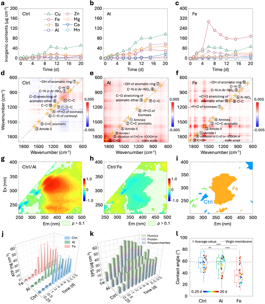 清华大学环境学院黄霞团队合作揭示混凝预处理可能加重反渗透膜污染的新机理