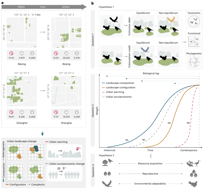 城市化的生态“后遗症”如何影响鸟类？建筑与城市规划学院王云才团队最新研究成果发表于《自然·城市》
