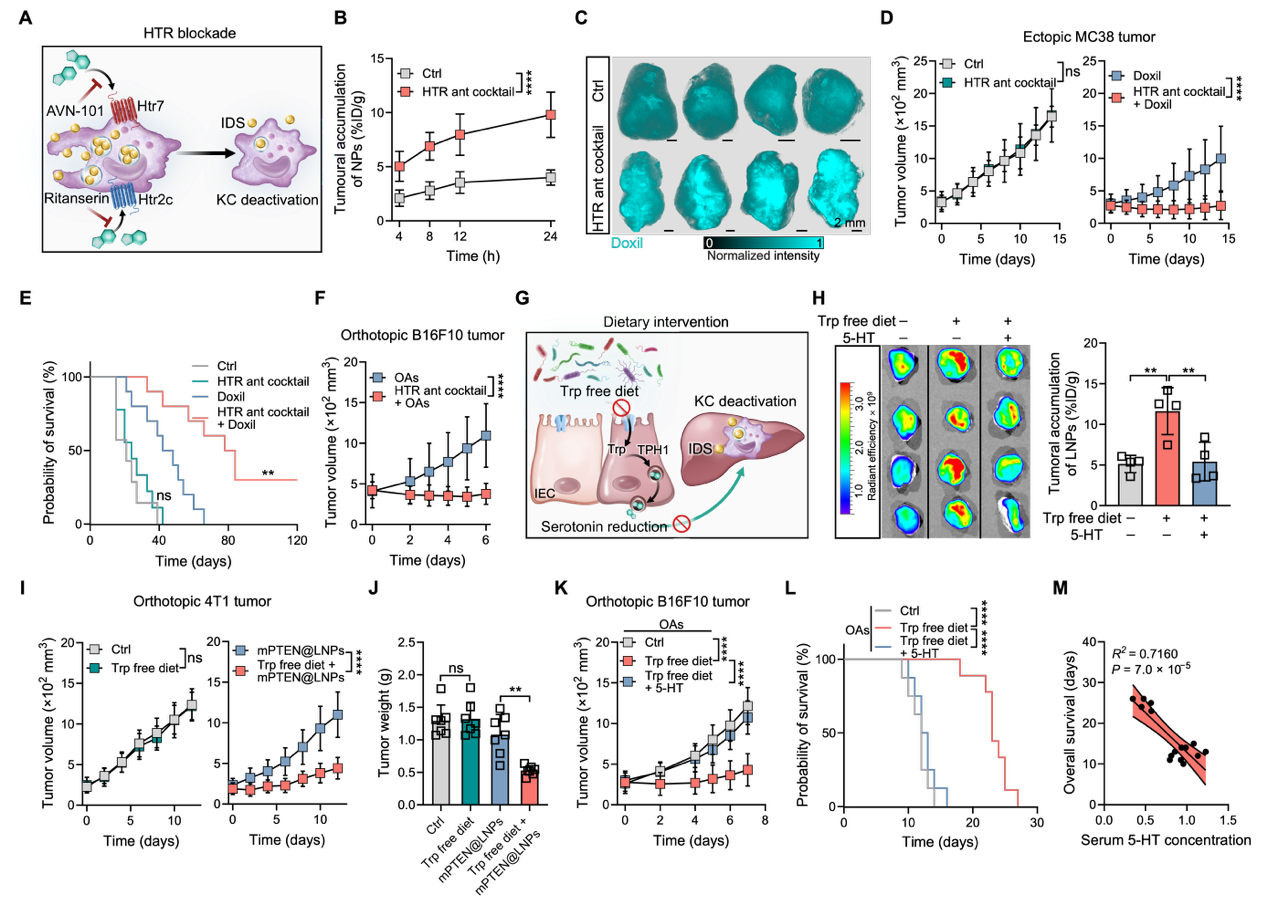 突破体内药物递送瓶颈！中国科大揭示肝脏清除递送系统的底层机制