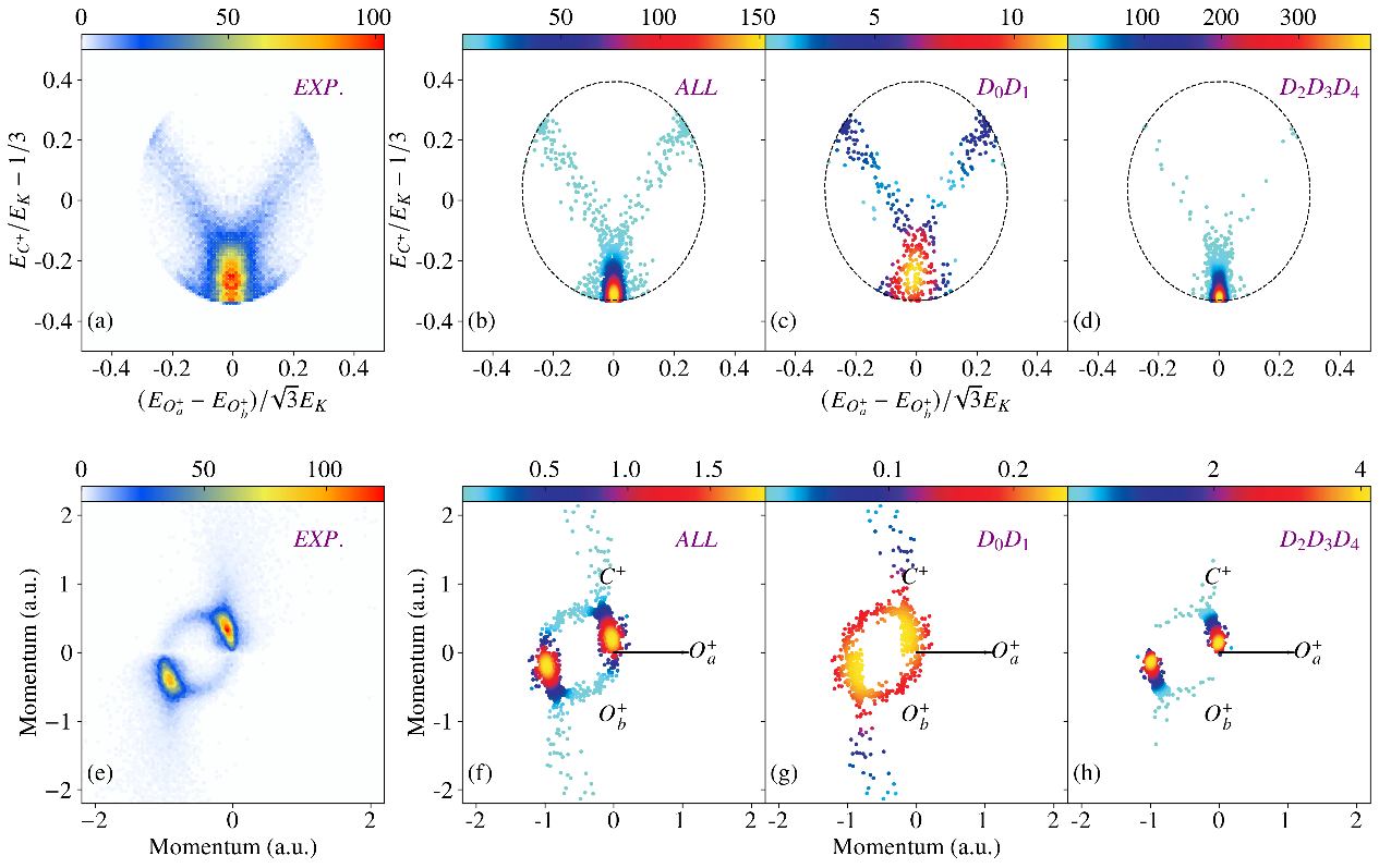 西安交大物理学院杨涛研究员团队 在分子激发态解离动力学领域取得重要进展
