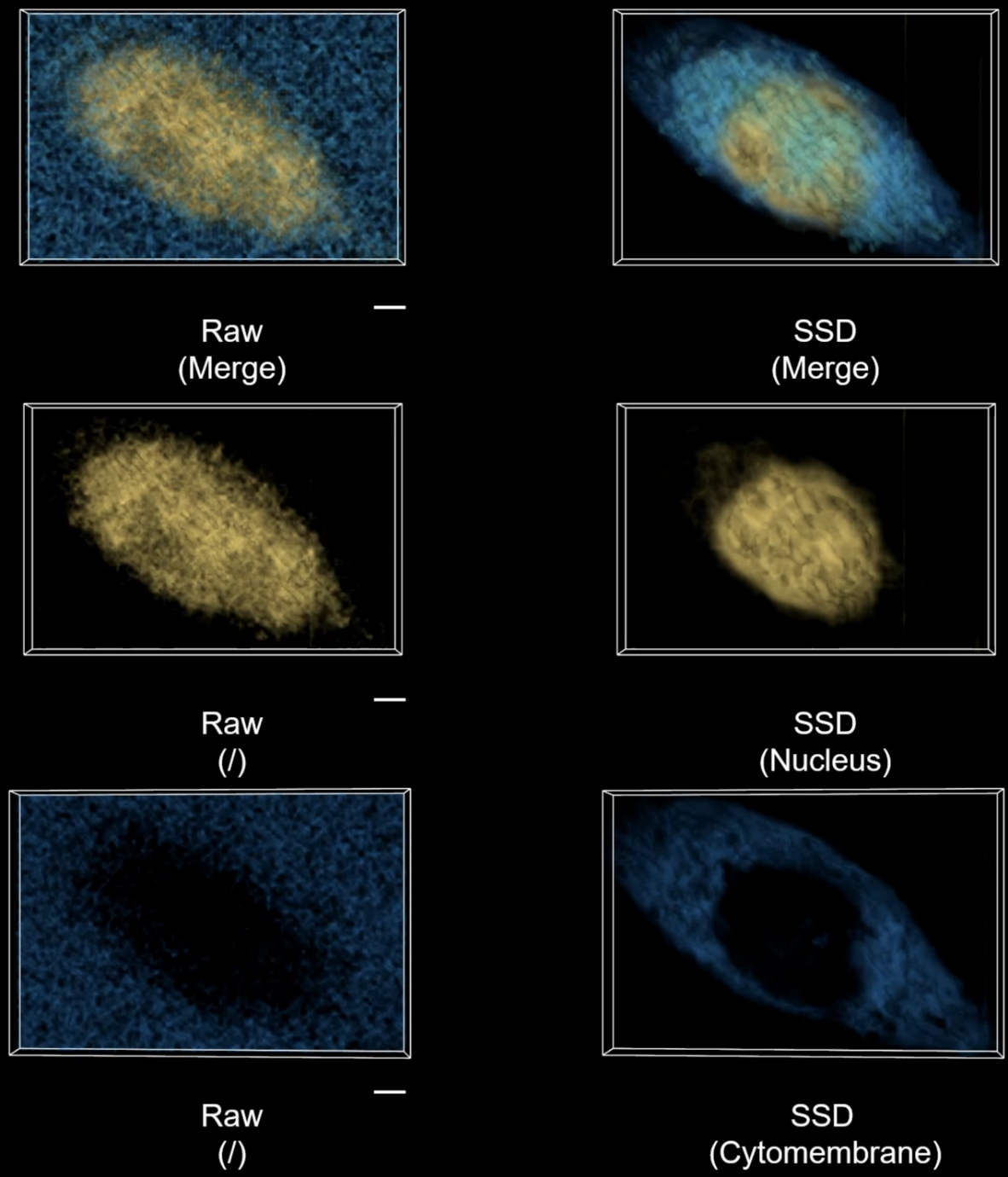 湖南大学湖大团队在拉曼高光谱成像领域取得重要进展