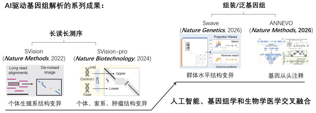 西安交大科研团队在《自然·方法》发表基因注释研究新方法