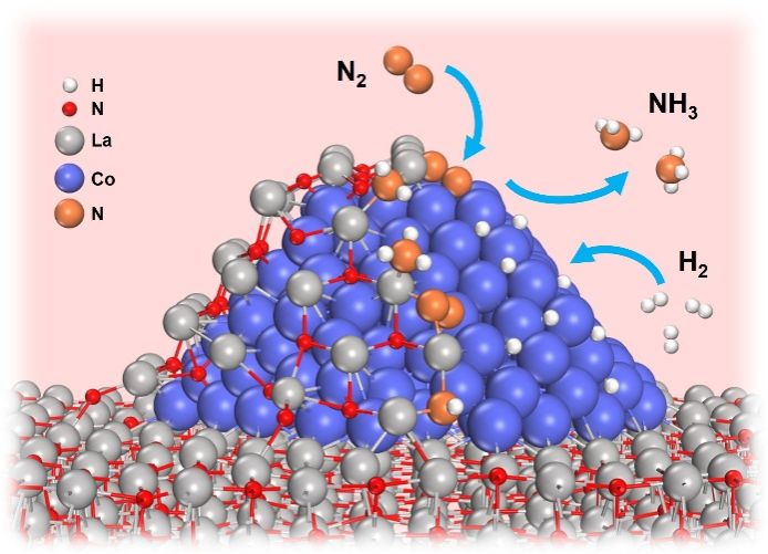 中国科大揭示合成氨反应中氮化物动态包覆高效催化新机制