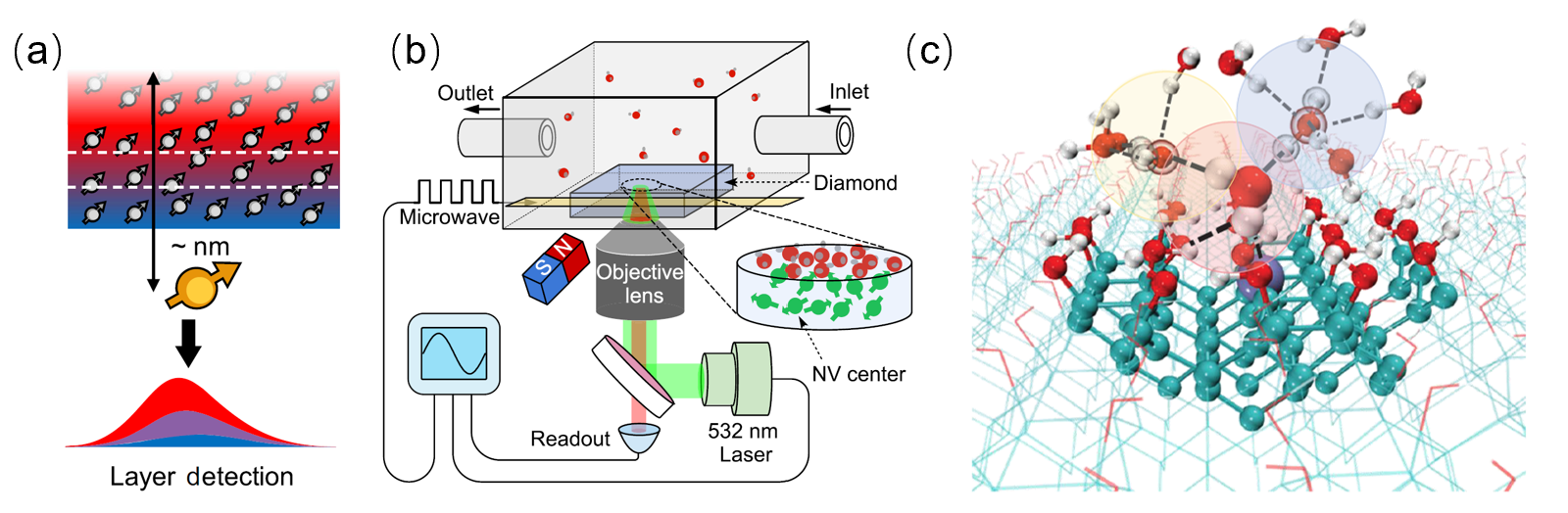 中国科大基于金刚石量子传感实现环境界面纳米尺度类冰水定量表征新方法
