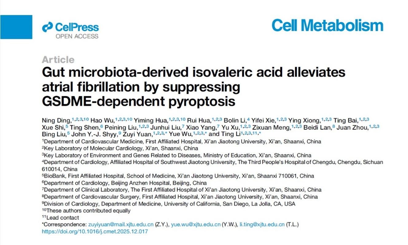 一附院袁祖贻团队在Cell Metabolism发表重要成果 揭示肠道菌群代谢调控房颤新机制