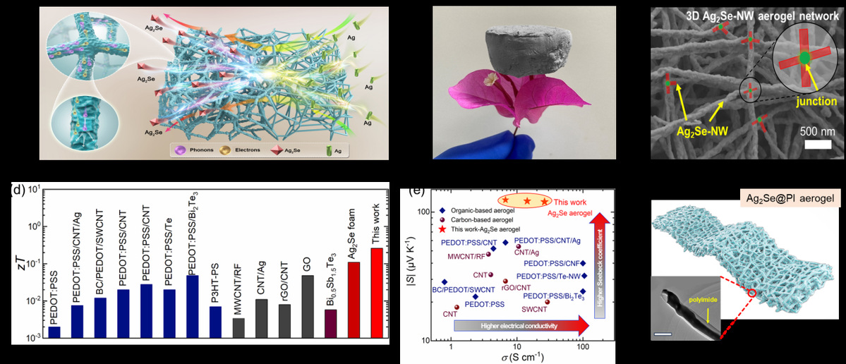 哈工大张倩、毛俊教授团队成功开发出纯无机热电气凝胶