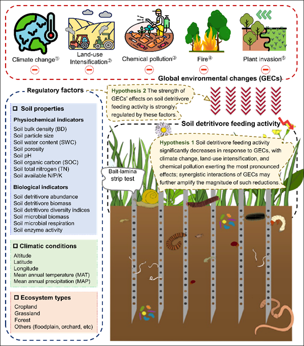 西北农林科技大学（809）资环学院殷睿教授课题组在揭示全球变化与土壤动物研究领域取得新进展