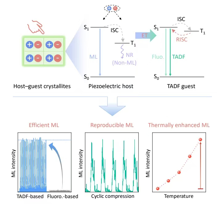 中国海洋大学在有机主客体应力发光研究领域取得新进展