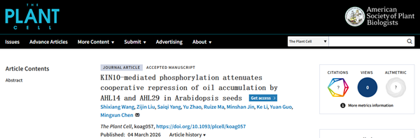 西北农林科技大学(821)农学院陈明训教授团队揭示种子油脂积累调控新机制