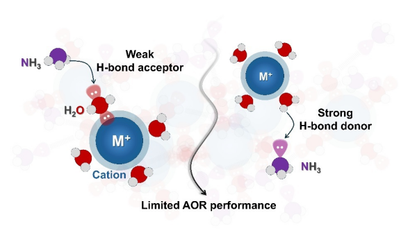 研究揭示光电催化氨氧化氢键网络新机制