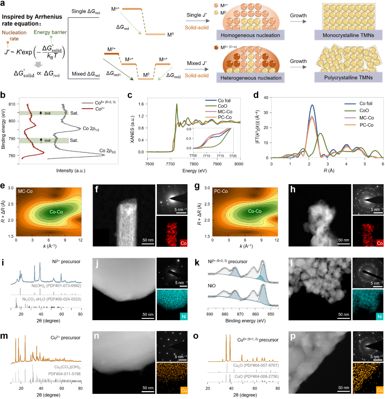 清华大学深圳国际研究生院周光敏团队在高效金属纳米晶催化剂的可控合成研究方向取得新进展
