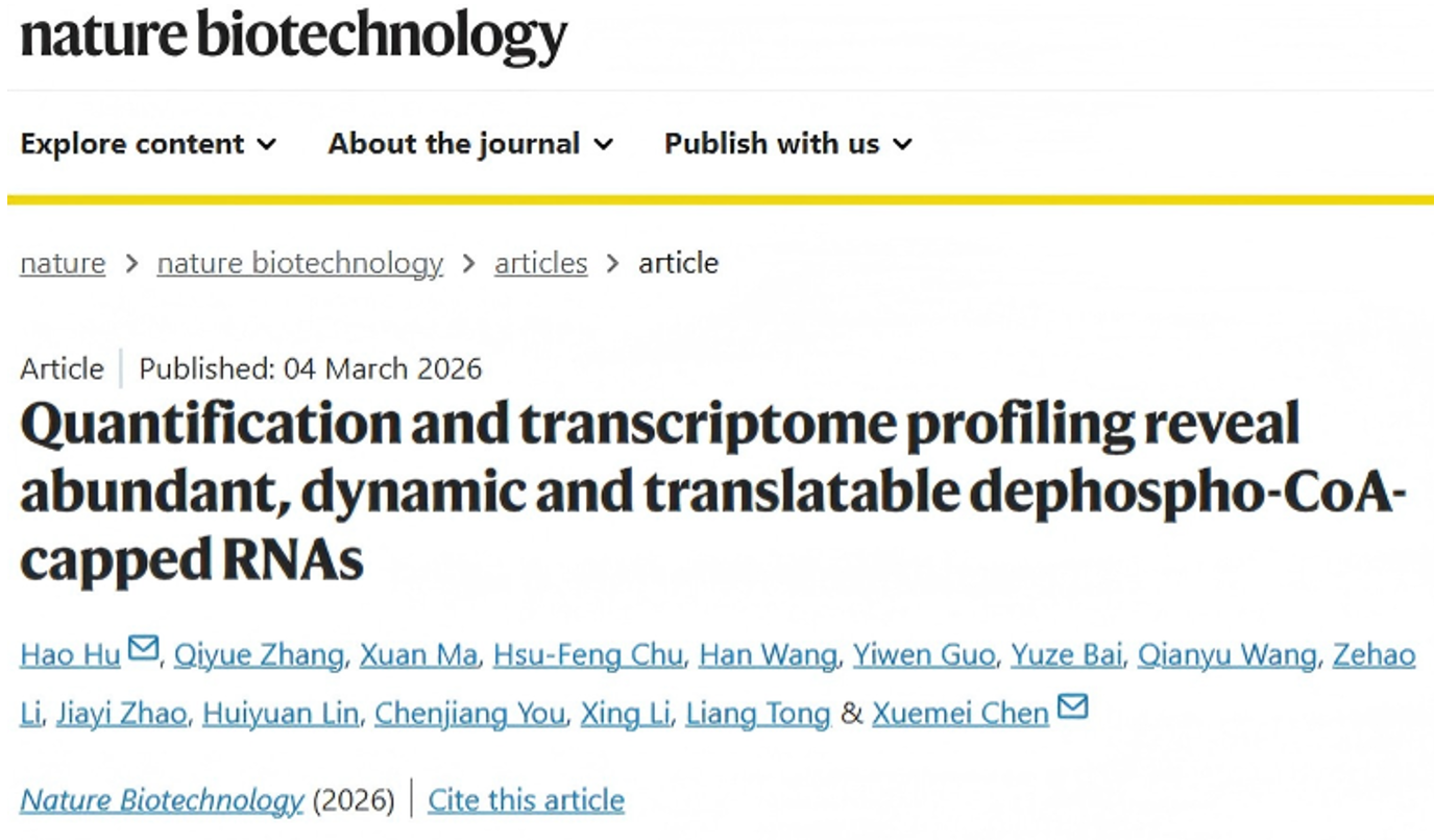 北京大学生命科学学院陈雪梅教授课题组揭示新型RNA帽子修饰的跨物种分布与动态调控