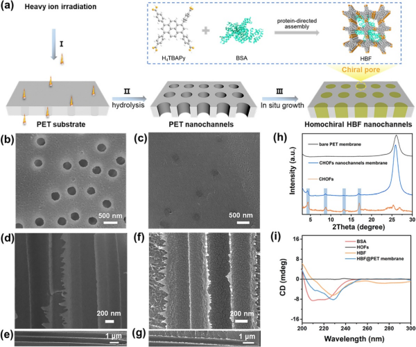 科学家利用重离子辐照技术创制新型手性分离膜
