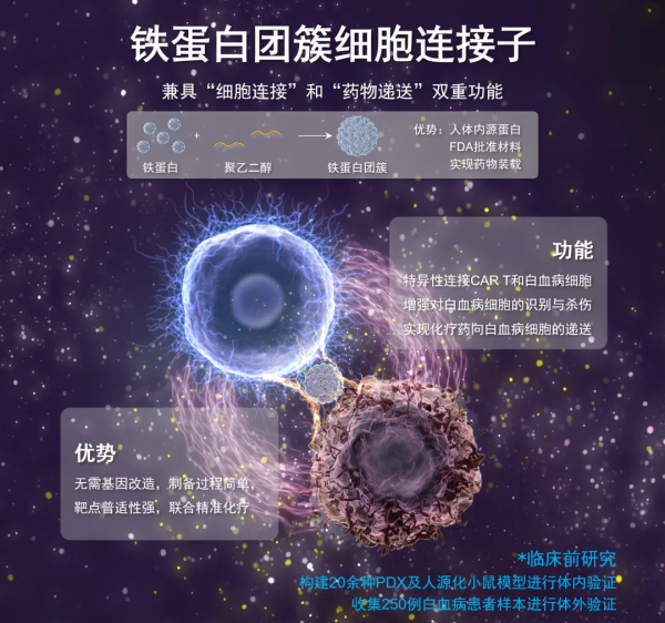 “双面胶”疗法为高效对抗白血病提供新思路