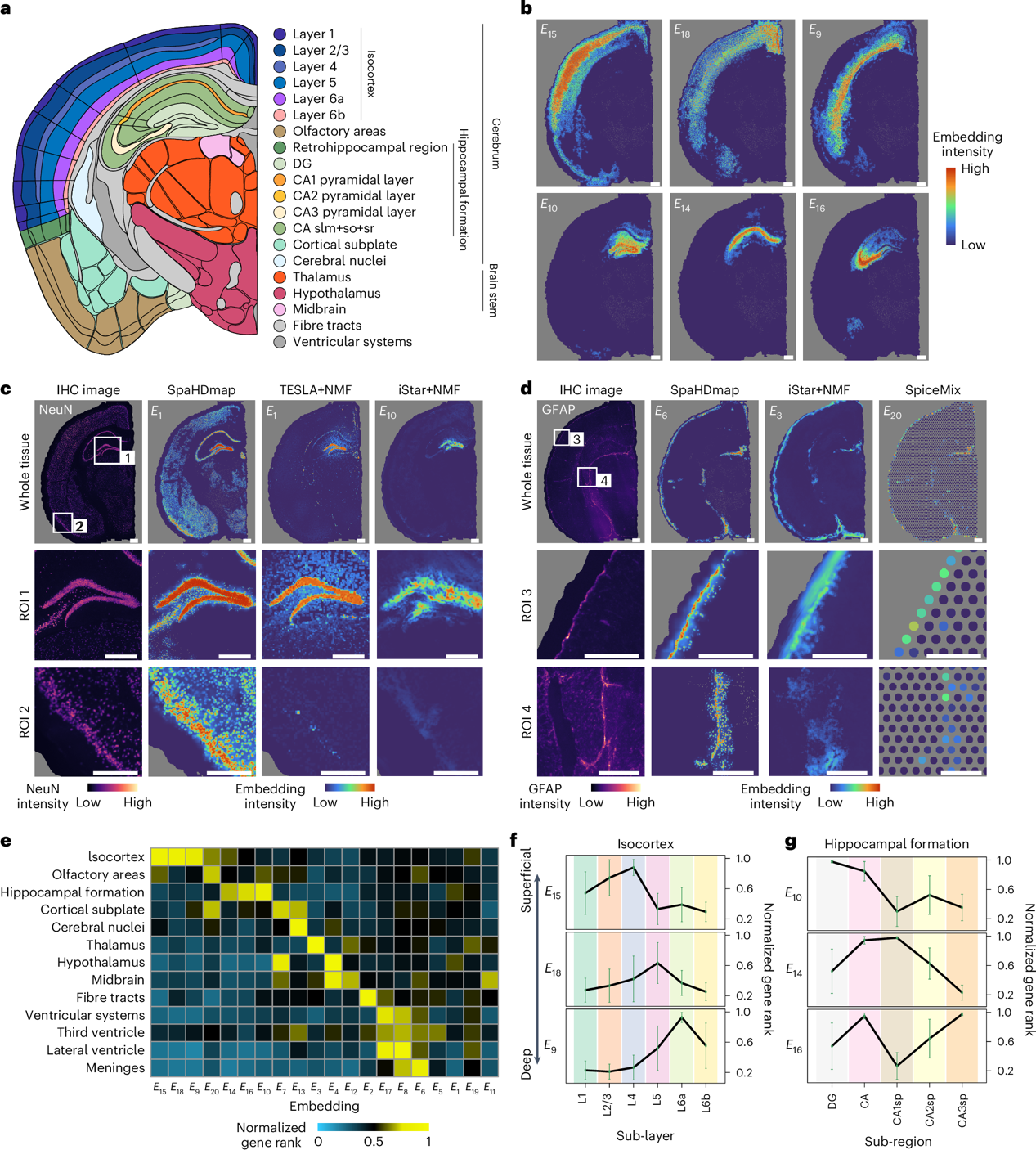 北京大学数学科学学院席瑞斌课题组提出多模态分析框架SpaHDmap，实现空间转录组高分辨解析