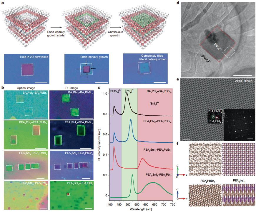 中国科大实现二维钙钛矿单晶面内马赛克异质结