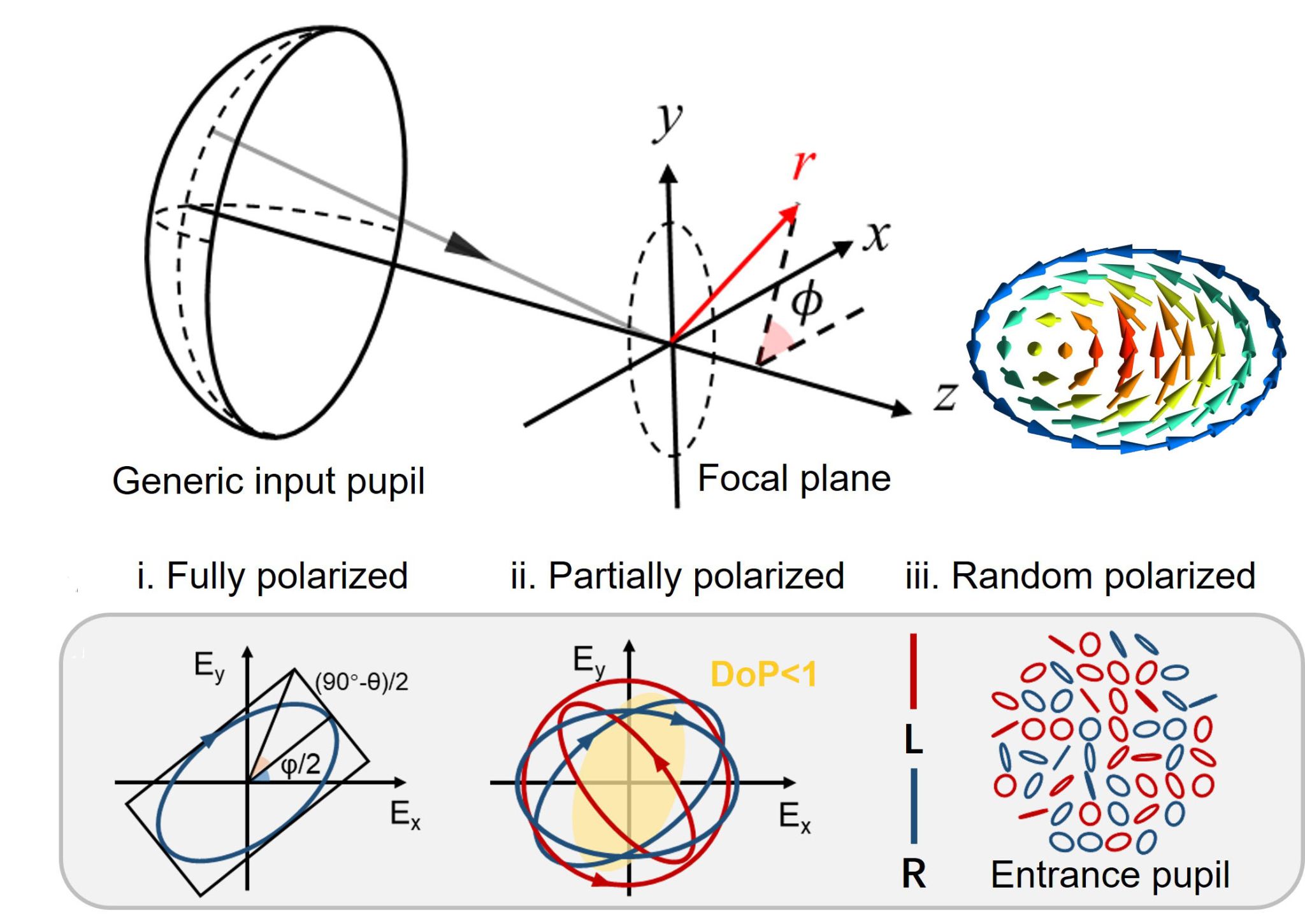 中国科大揭示聚焦光场中内禀自旋纹理