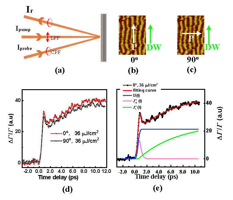 北京师范大学物理与天文学院教授熊昌民和张文凯团队实现飞秒激光对氧化物多畴磁畴壁的精准“光操控”
