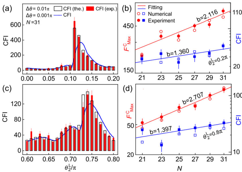 东南大学肖磊团队在量子传感领域取得重要进展