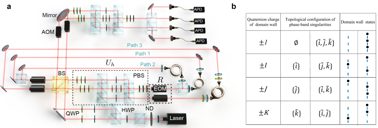 东南大学全光量子信息团队在非阿贝尔拓扑量子物理研究中取得新进展