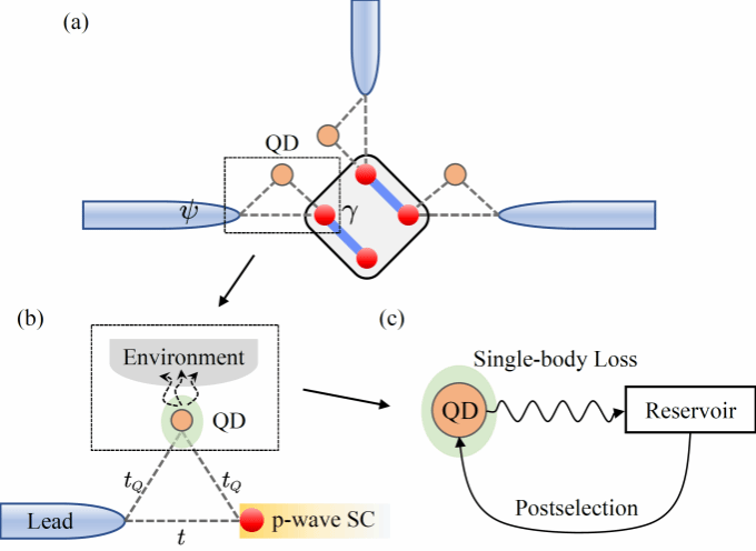 南京大学物理学院王锐、王伯根课题组揭示耗散系统中反常近藤效应