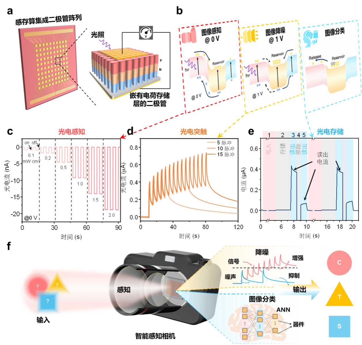 中国科大研制出首个具有感存算三合一功能的光电二极管