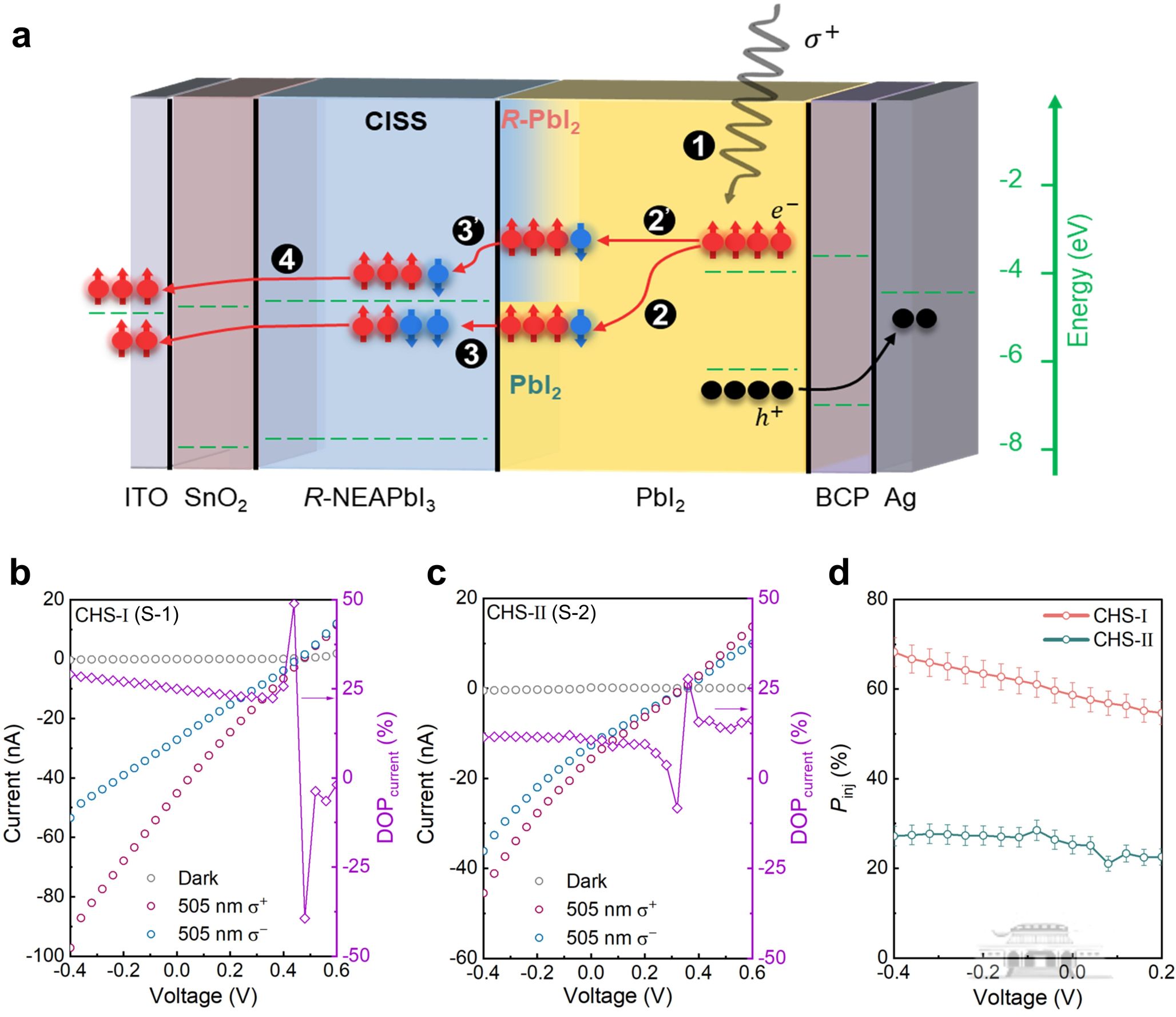 武汉大学侯绍聪团队在自旋光电子器件中高效自旋注入领域取得新进展
