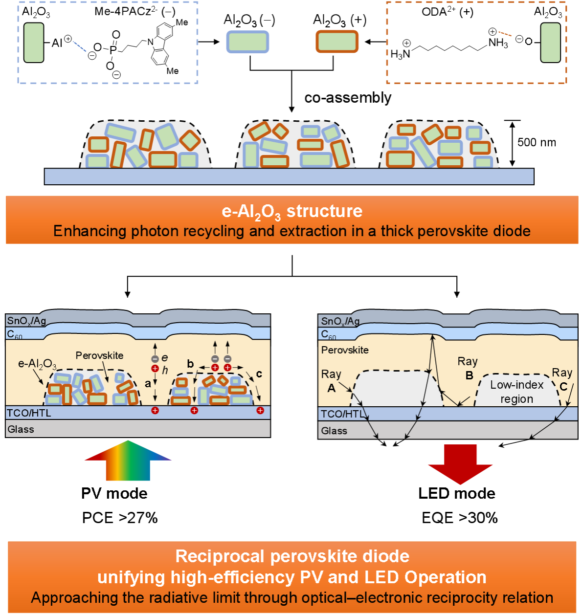 中国科大创制钝化多孔光管理结构，破解钙钛矿二极管发光与光伏的权衡难题