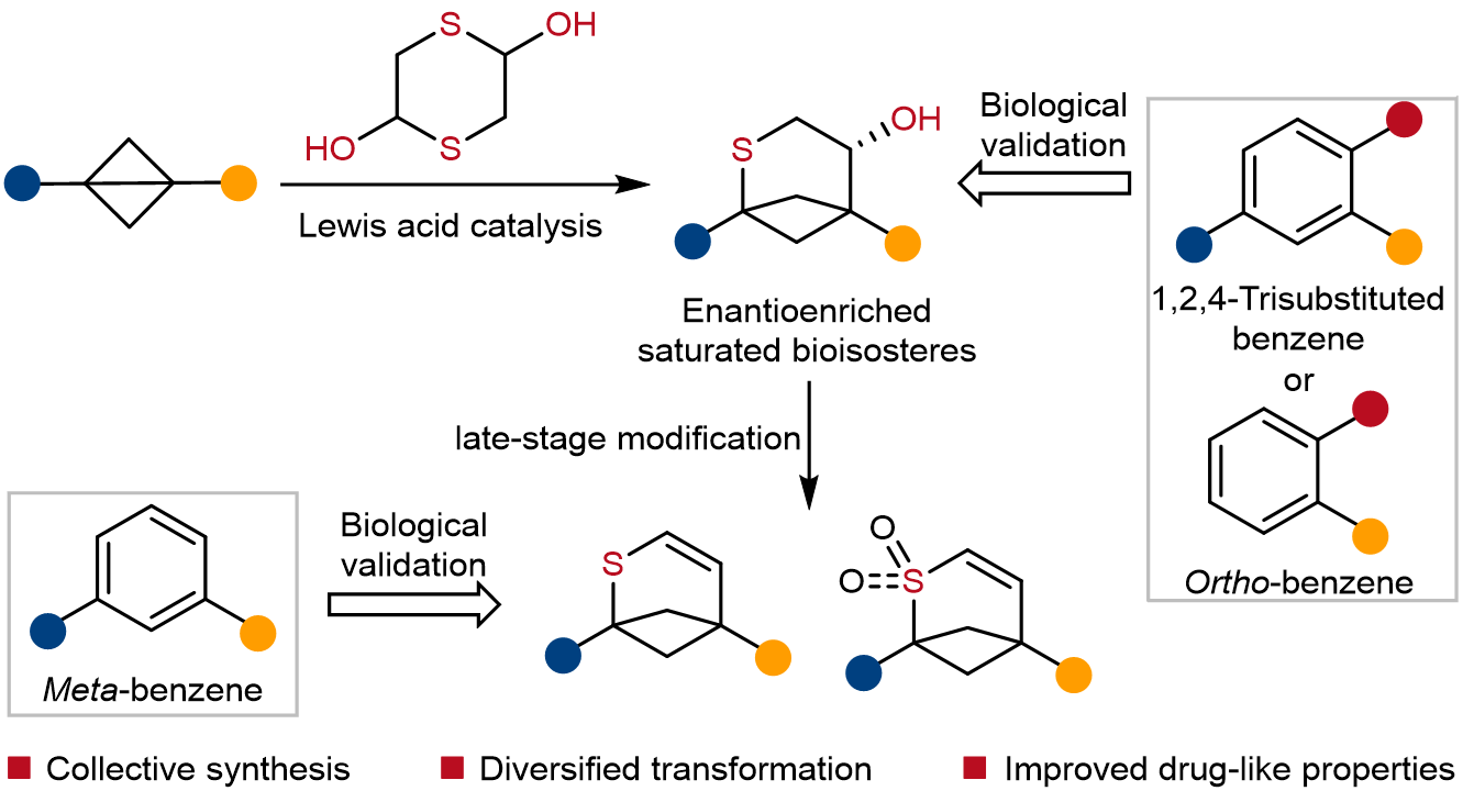 湖南大学化工院冯见君教授团队在含苯药物成药性优化研究中取得新进展