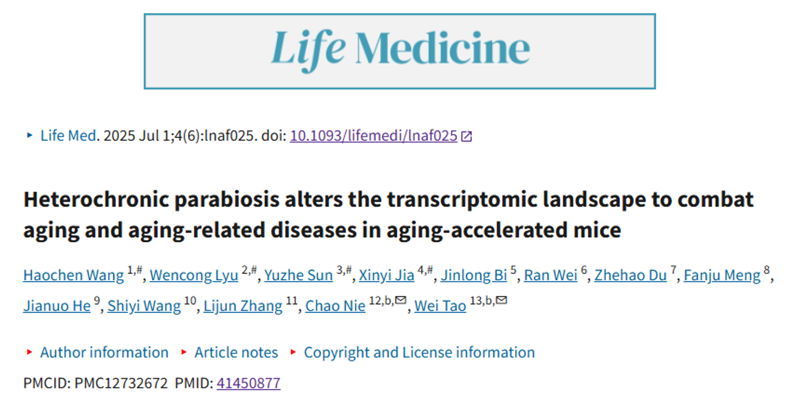 北京大学生命科学学院陶伟团队系列研究多维度揭示衰老调控新机制：从机制解析到干预策略