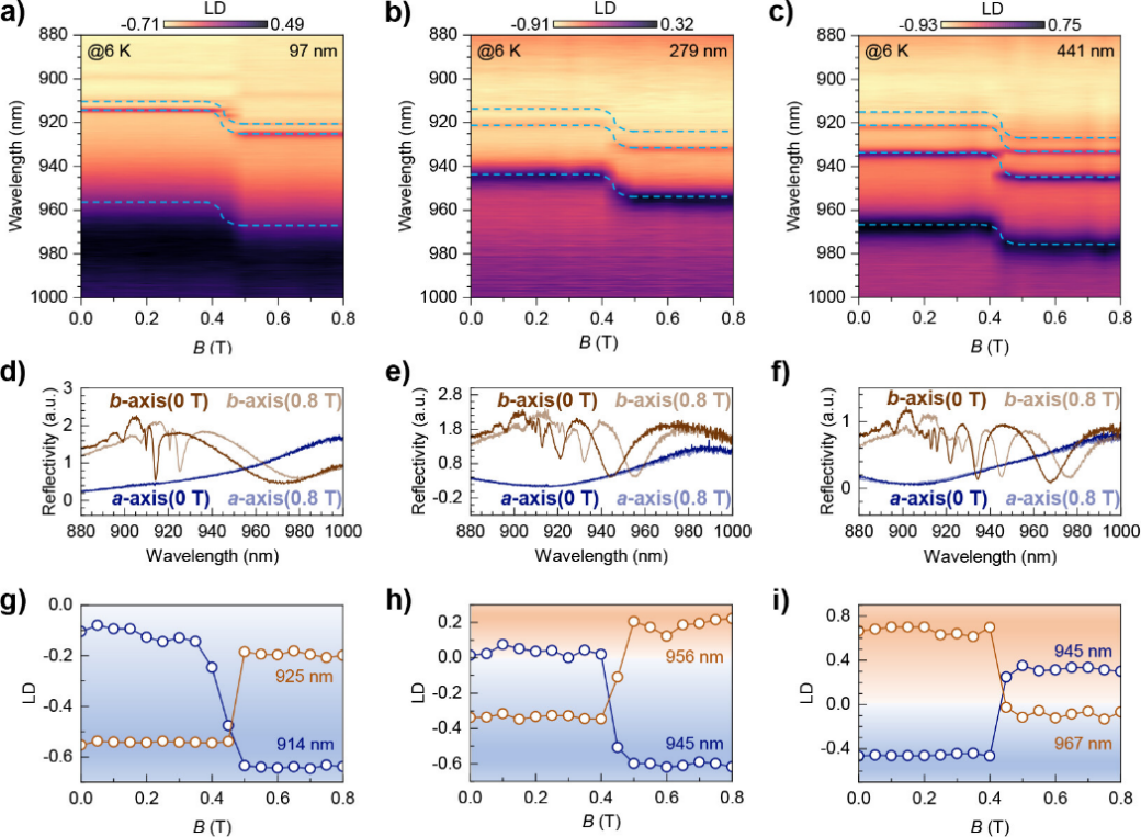 北京大学材料科学与工程学院张青课题组实现激子极化激元腔增强的巨磁光二向色性