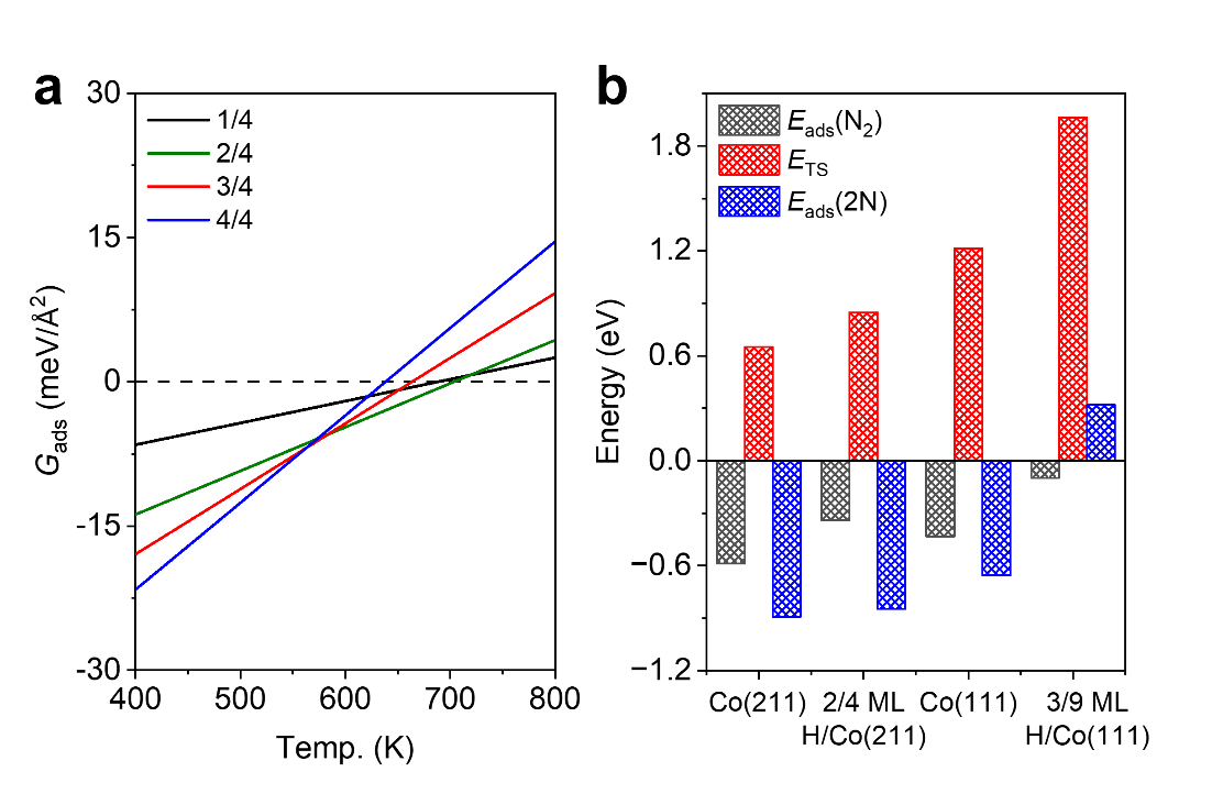 中国科大揭示合成氨反应中氮化物动态包覆高效催化新机制