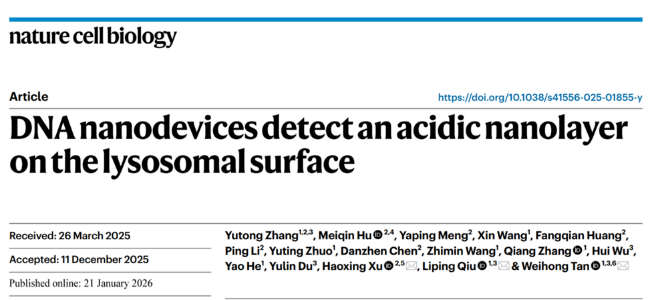 湖南大学谭蔚泓/邱丽萍团队在细胞器生理研究中取得重要突破